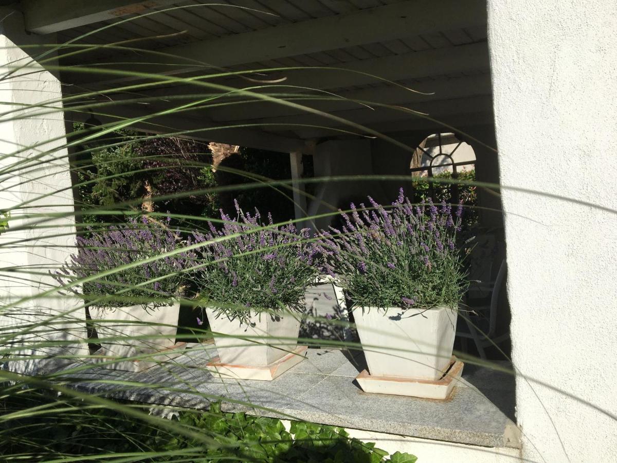 Ferienwohnung Dashaus ไรน์เฟลเดิน ภายนอก รูปภาพ