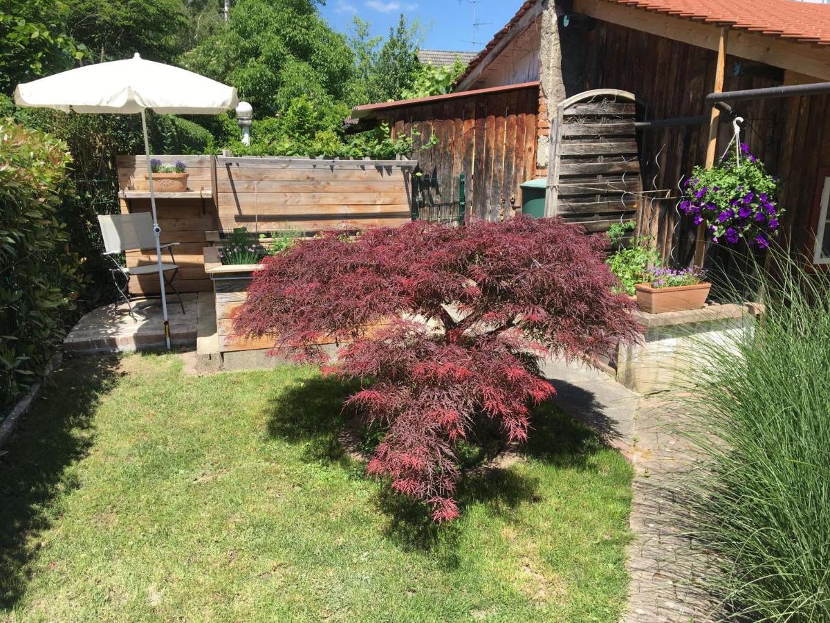 Ferienwohnung Dashaus ไรน์เฟลเดิน ภายนอก รูปภาพ