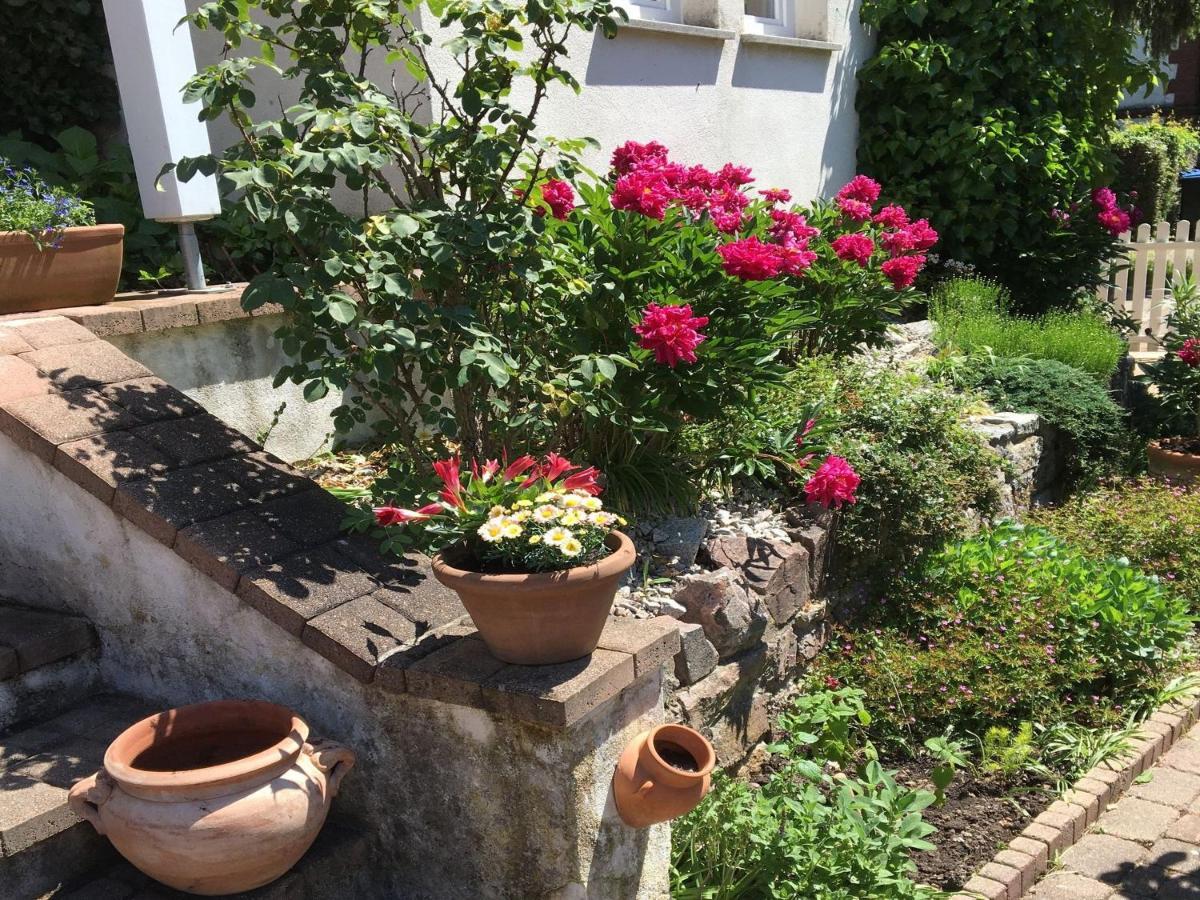 Ferienwohnung Dashaus ไรน์เฟลเดิน ภายนอก รูปภาพ